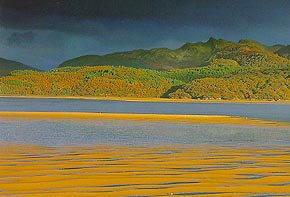 sands of the Mawddach - Dave Newbould